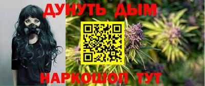 гидра Нальчик