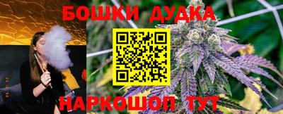 гидра Нальчик